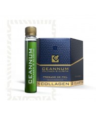 CEANNUM VIAL ORAL 25 ML 10 UNIDOSIS