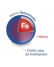 VIT&MIN FERRO FORTE 20 SOBRES 2,5 G