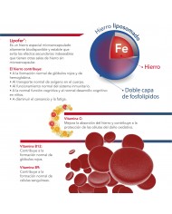 VIT&MIN FERRO FORTE 20 SOBRES 2,5 G