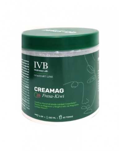 IVB CREAMAG FRESA-KIWI 300 GRAMOS