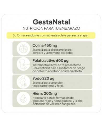 IVB GESTANATAL 60 CAPS