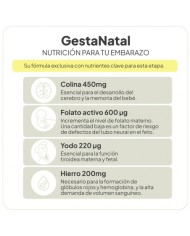 IVB GESTANATAL 60 CAPS IVB GESTANATAL 60 CAPS