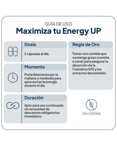 IVB ENERGY UP 60 CAPSULAS