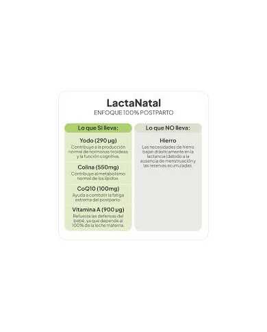 IVB LACTANATAL 60 CAPS IVB LACTANATAL 60 CAPS