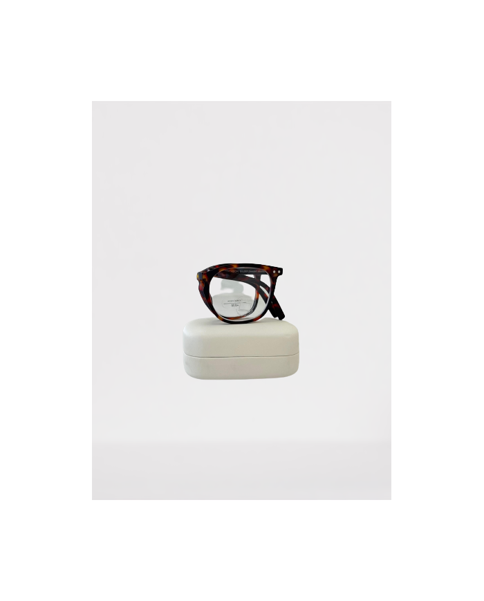 GAFA HAVANA PROTEC ORDENADOR PLEGABLE 1.5 NORDIC