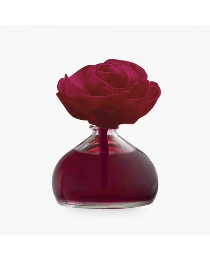 BETRES AMBIENTADOR ROSA