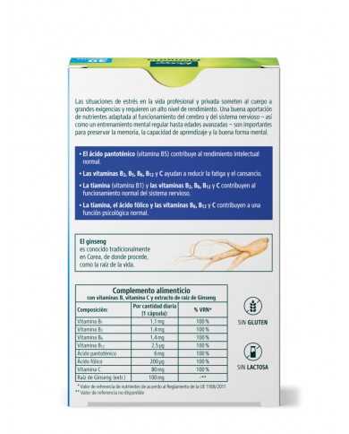 KNEIPP MEMORIA + CONCENTRACION 30 COMPRIMIDOS