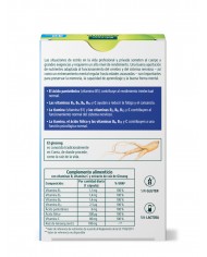 KNEIPP MEMORIA + CONCENTRACION 30 COMPRIMIDOS