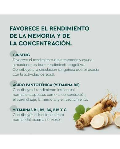 KNEIPP MEMORIA 60 GUMMIES