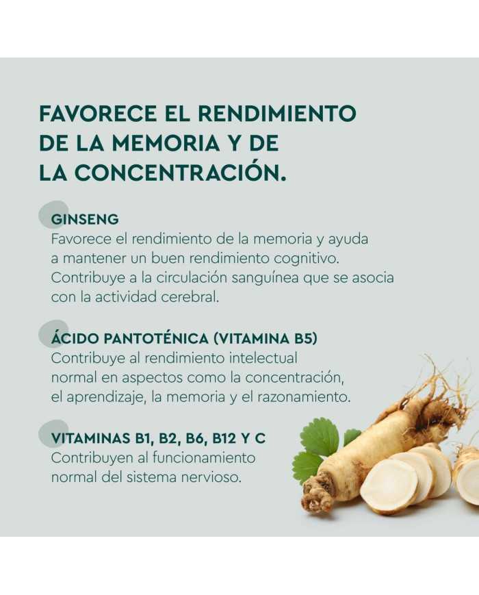 KNEIPP MEMORIA 60 GUMMIES KNEIPP MEMORIA 60 GUMMIES