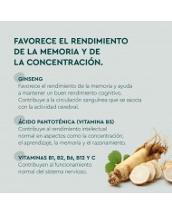 KNEIPP MEMORIA 60 GUMMIES KNEIPP MEMORIA 60 GUMMIES